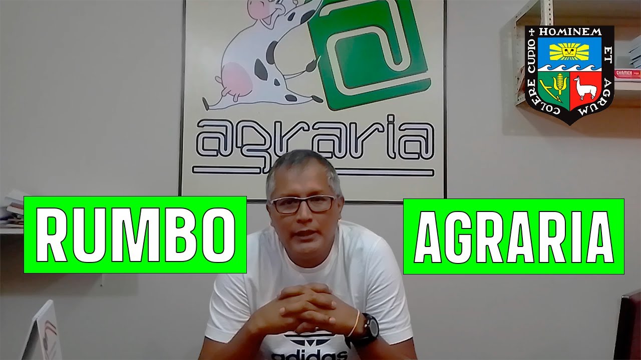✅¿Por qué matricularse en RUMBO AGRARIA? | Academias para la unalm #2 | Emmel