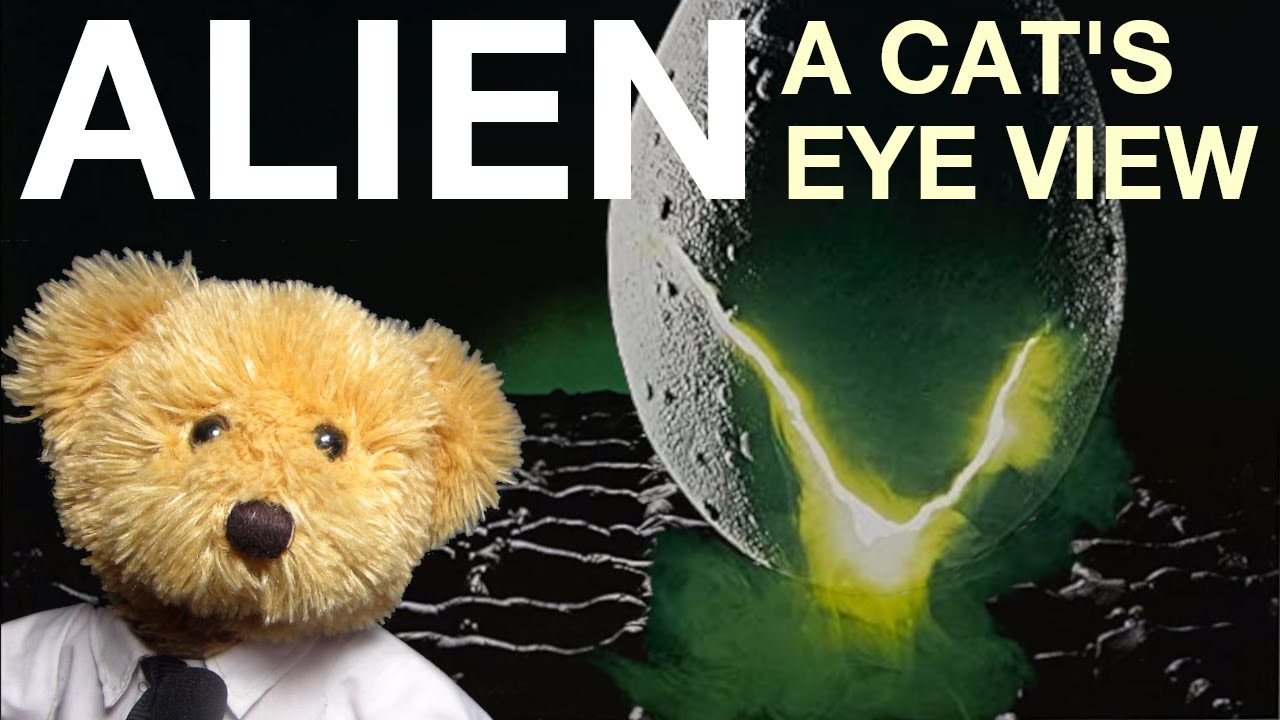 My Day by Jones: A Cat's Eye View of Alien