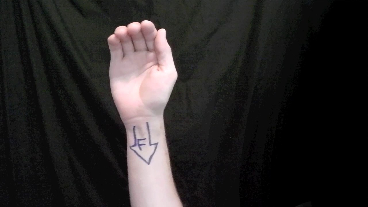 Arm Muscles: 27 Wrist Flexion and Extension