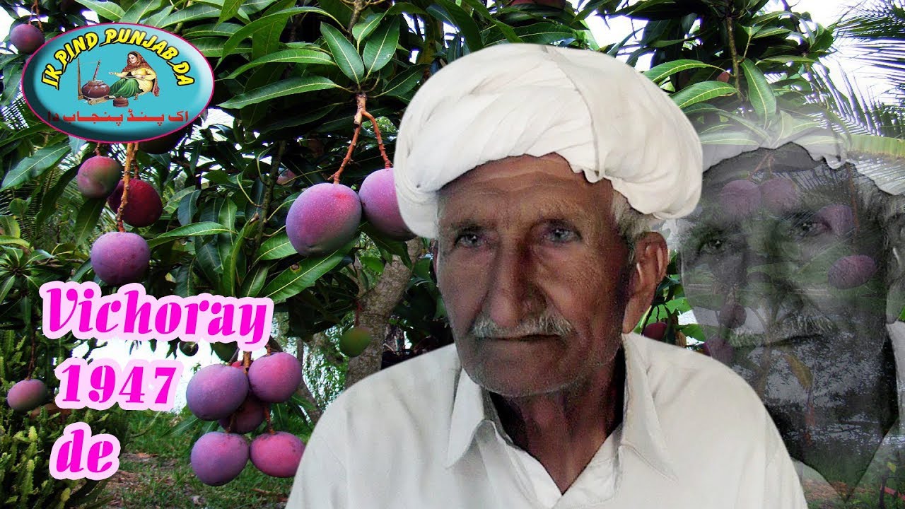Ambian Nu tarse gi chad k dais doaba | Tatehra Una to 150 Jaggu wali toba, Partition stories