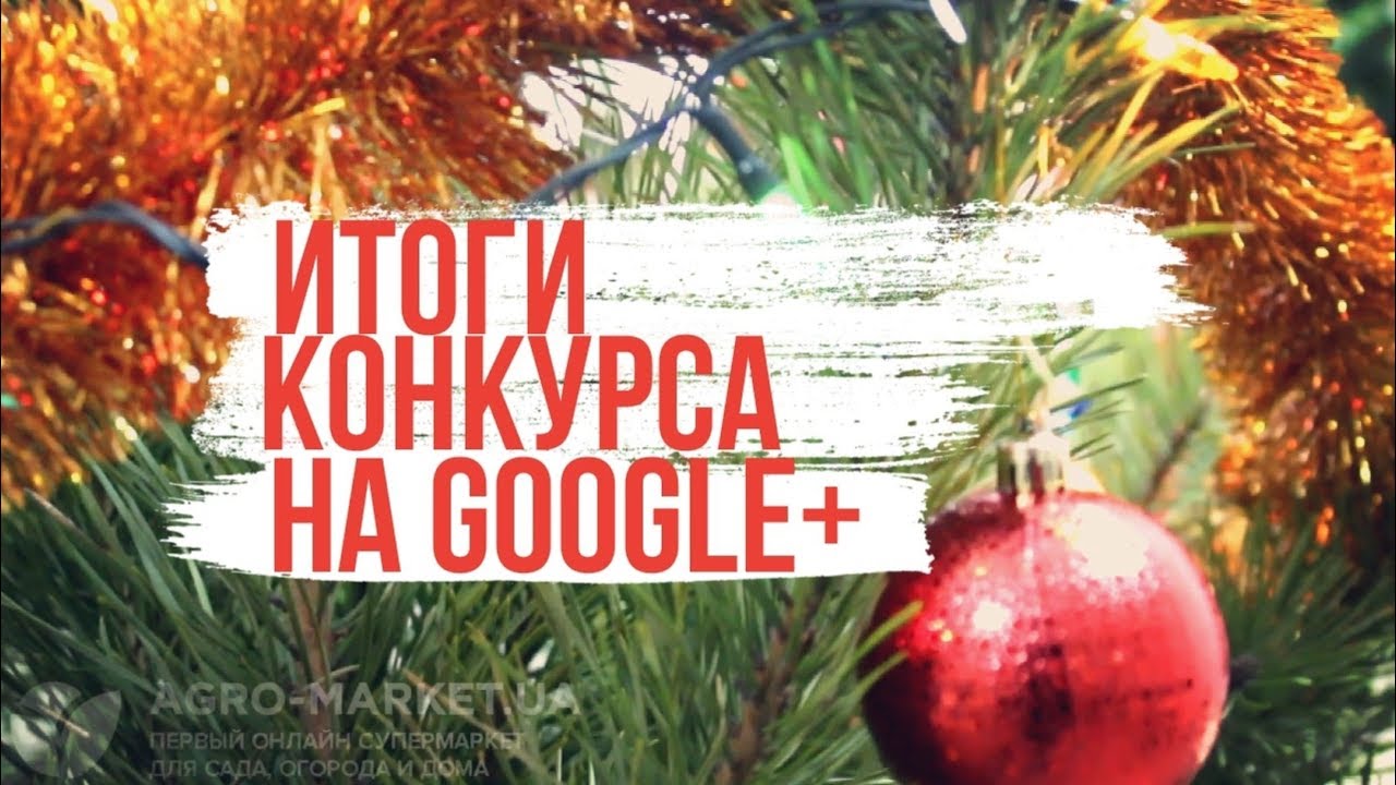 Итоги конкурса на google+ | Seedbox | Agro-Market.ua