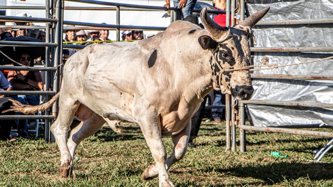 2 MIL DOLARES A LA QUEDA ! Rancho Cuxpala en Calistoga California 