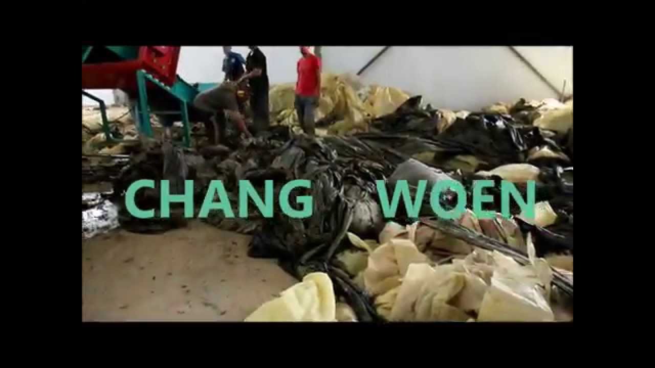 Algeria A G  Film LDPE Film Washing Line and Pelletizing Line