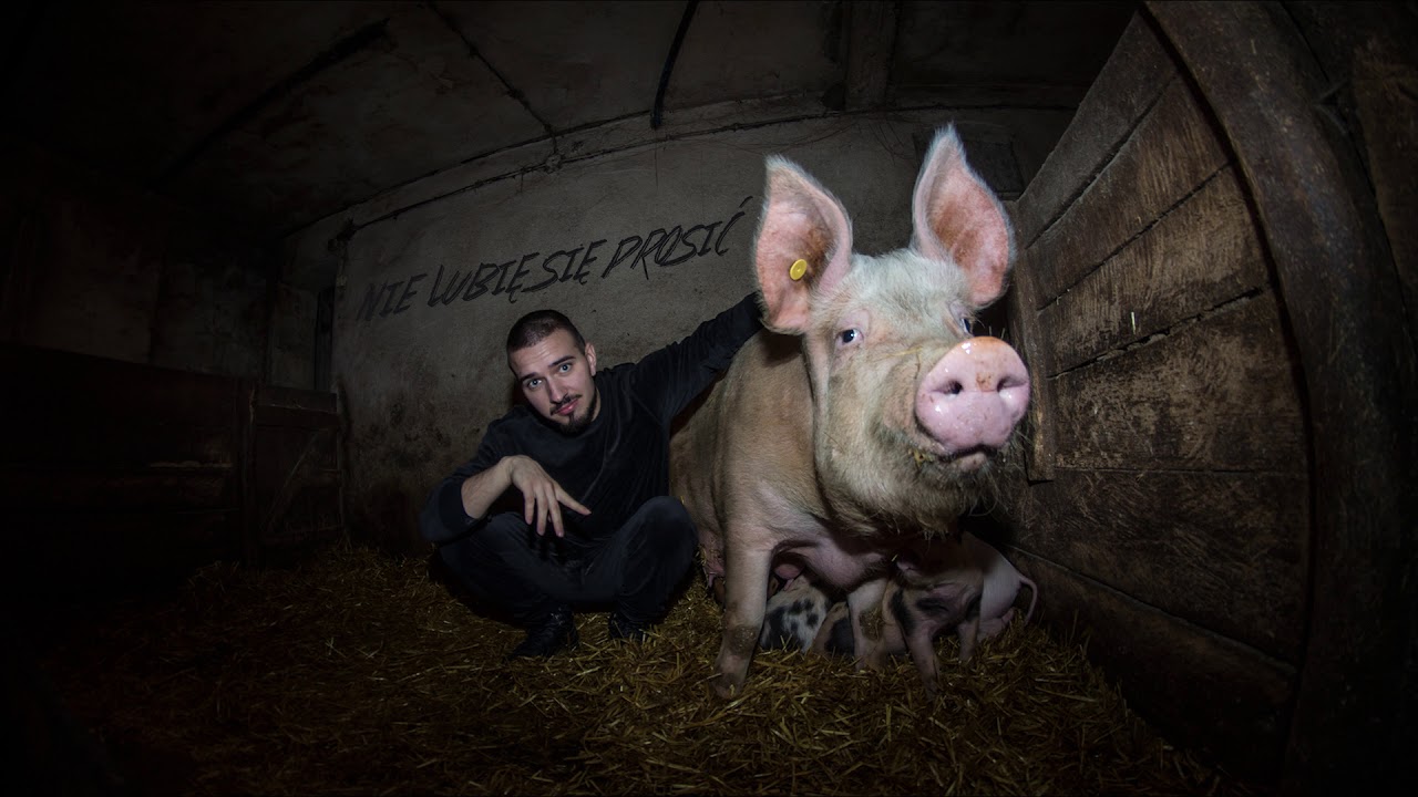 JA - Nie lubię się prosić (prod. Roman RSK)