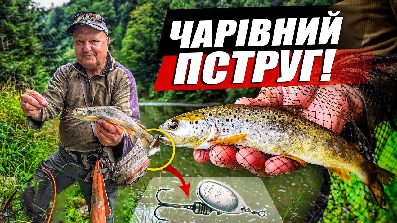 Риболовля в Карпатах. Форель на спінінг в гірській річці. Crazy Fish Alpha 662XULS