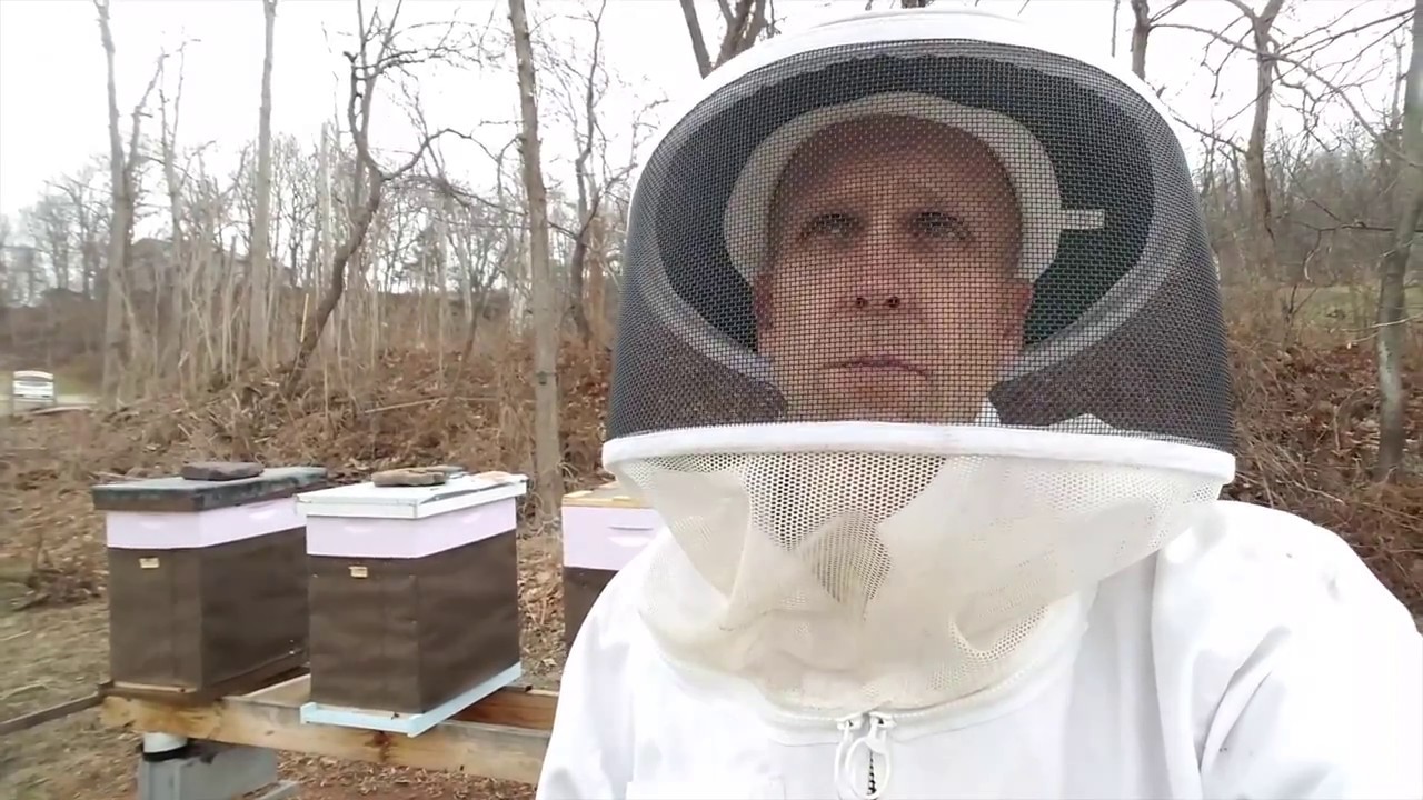 Late Winter Bee Hive Inspection
