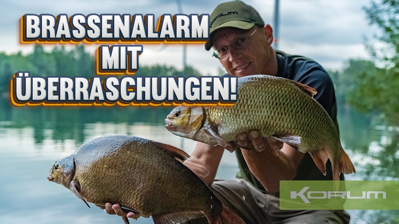 BRASSENALARM mit Überraschungen! | SO BEKOMMST DU BISS AUF BISS!