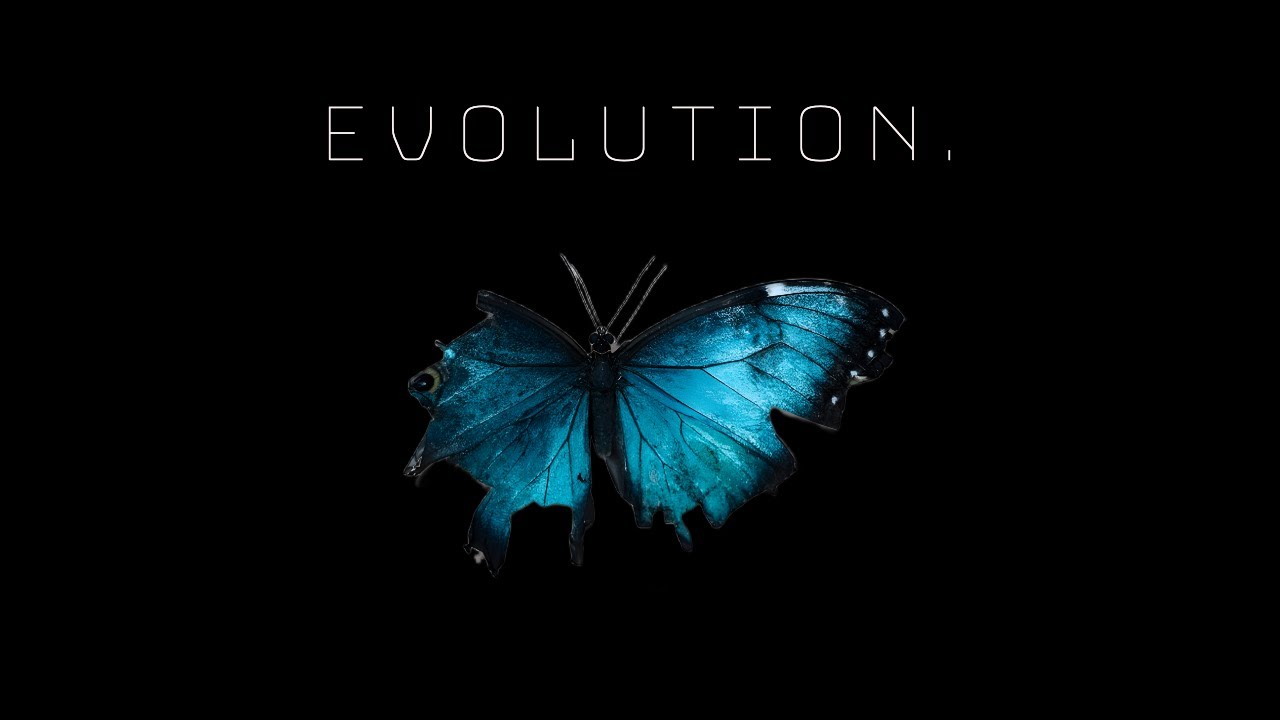 EVOLUTION.