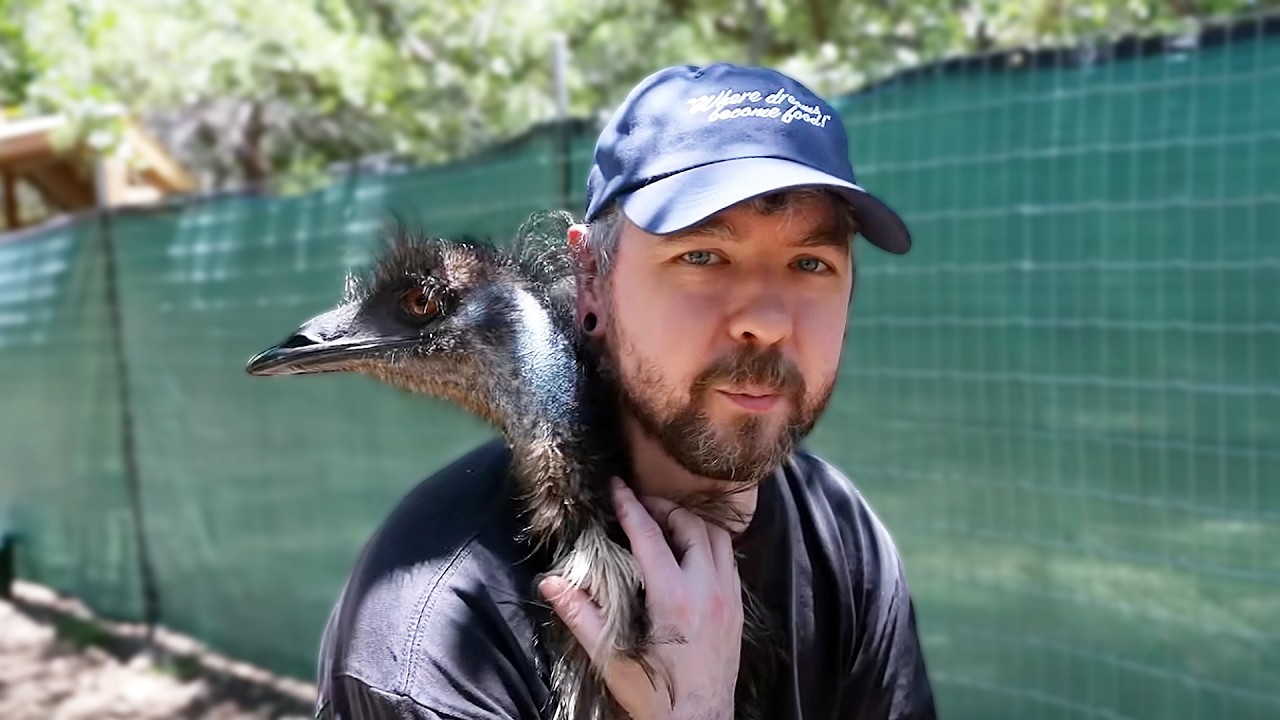 Meeting Animals I've Never Seen Before