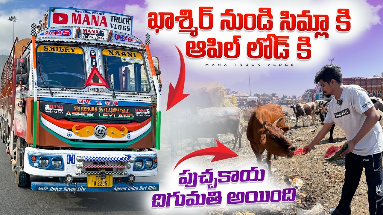 ఖాశ్మిర్ నుండి సిమ్లా కి ఆపిల్ లోడ్ కి వెళ్తున్నాం 🍎 పుచ్చకాయ దిగుమతి అయింది🚛