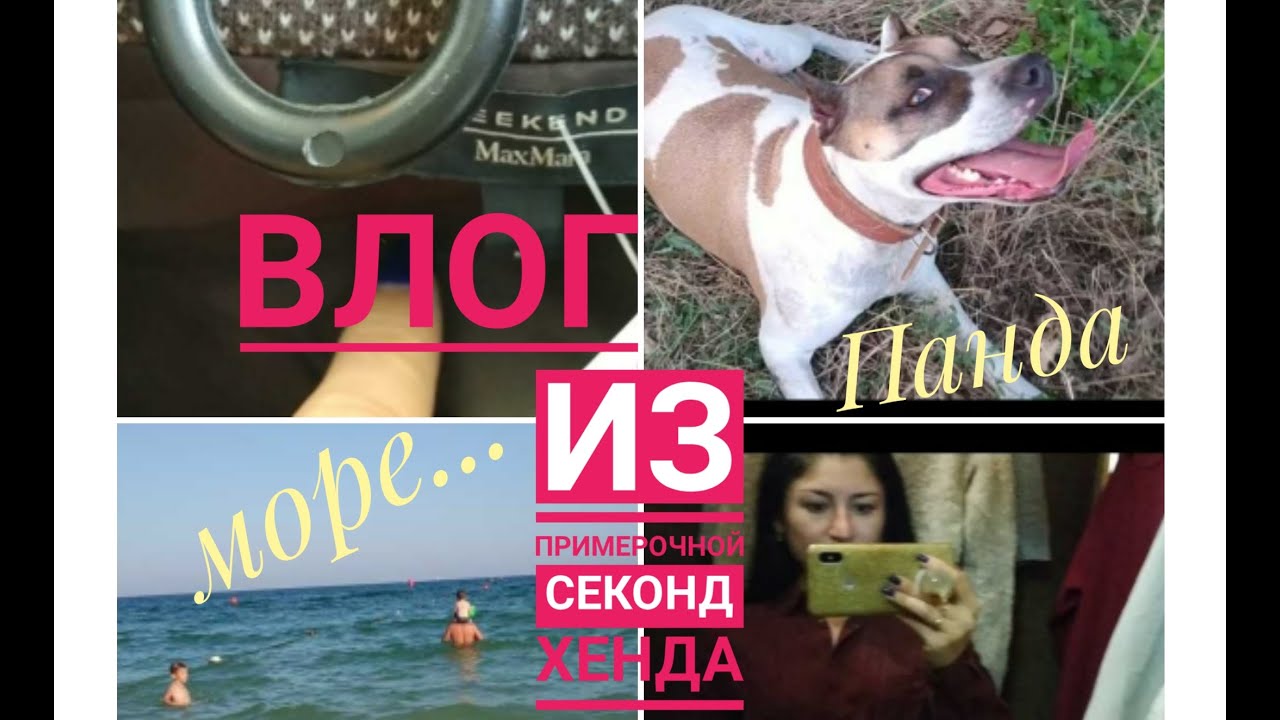 Влог: Из примерочной Секонд Хенда// Море// Панда