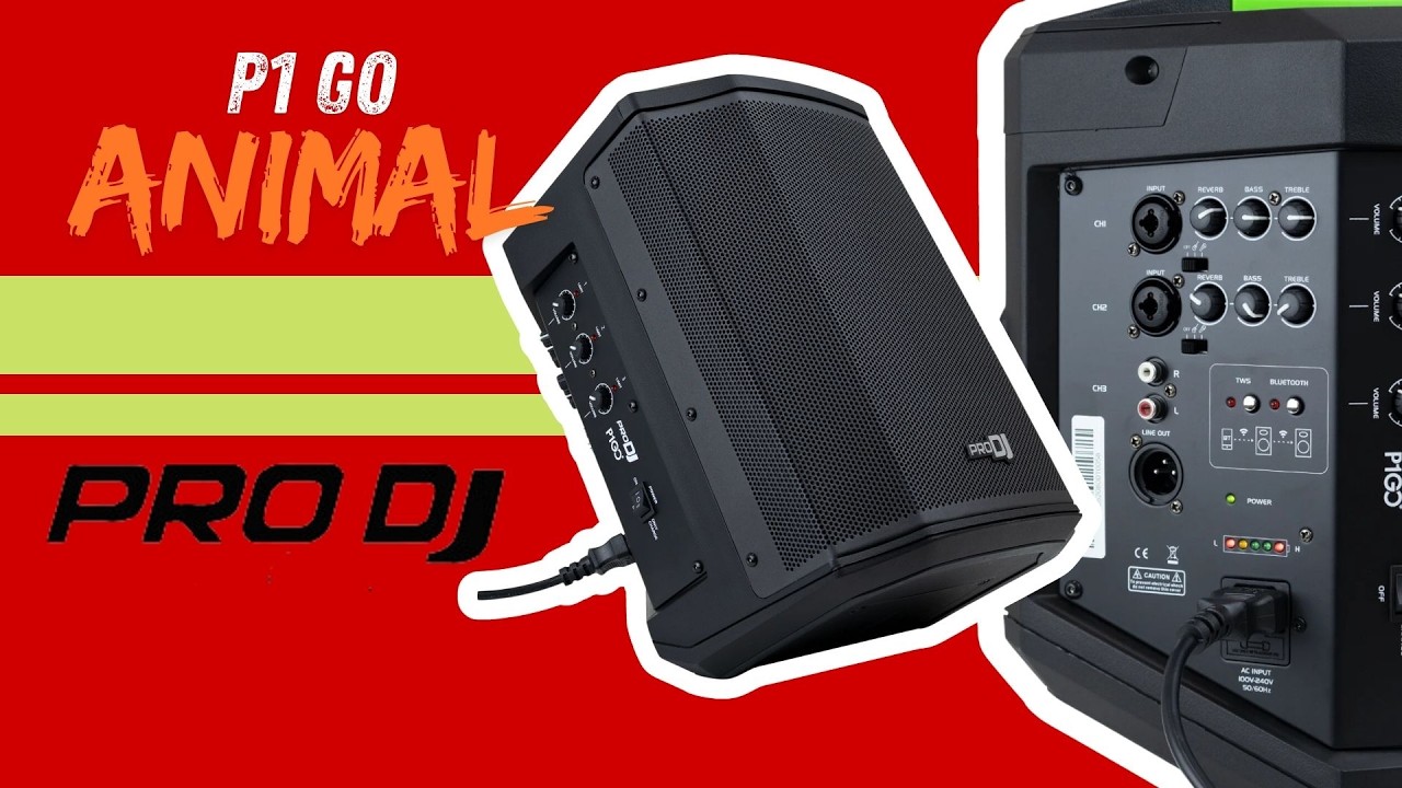 P1 GO PRO DJ - REVIEW PARA VER ANTES DE COMPRARLO / PORTABLE  Y LIVIANO / BATERIA RECARGABLE