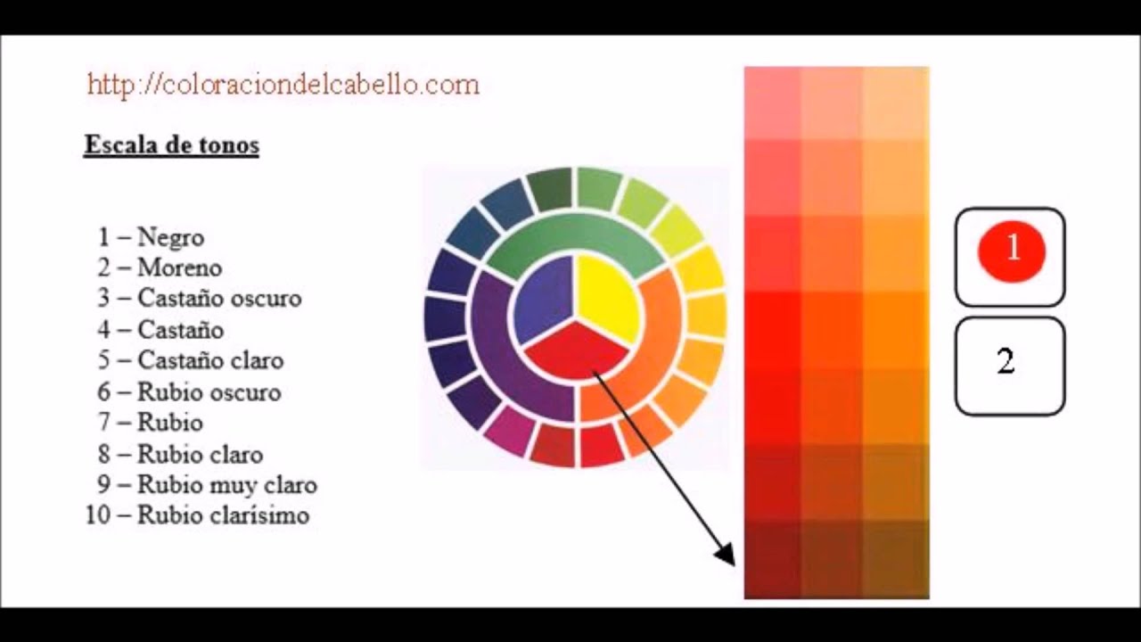 Explicación sencilla sobre los pigmentos del color del cabello