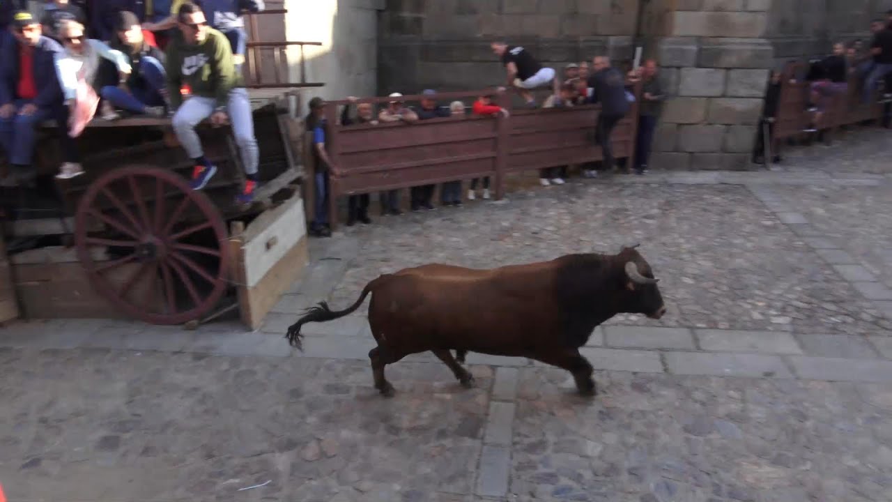 San Felices de los Gallegos 2024 El Noveno, Toro del Aguardiente