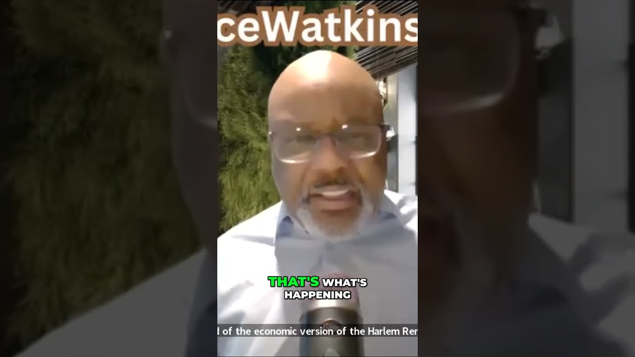 The Economic Renaissance in the Black Community  Empowering Change