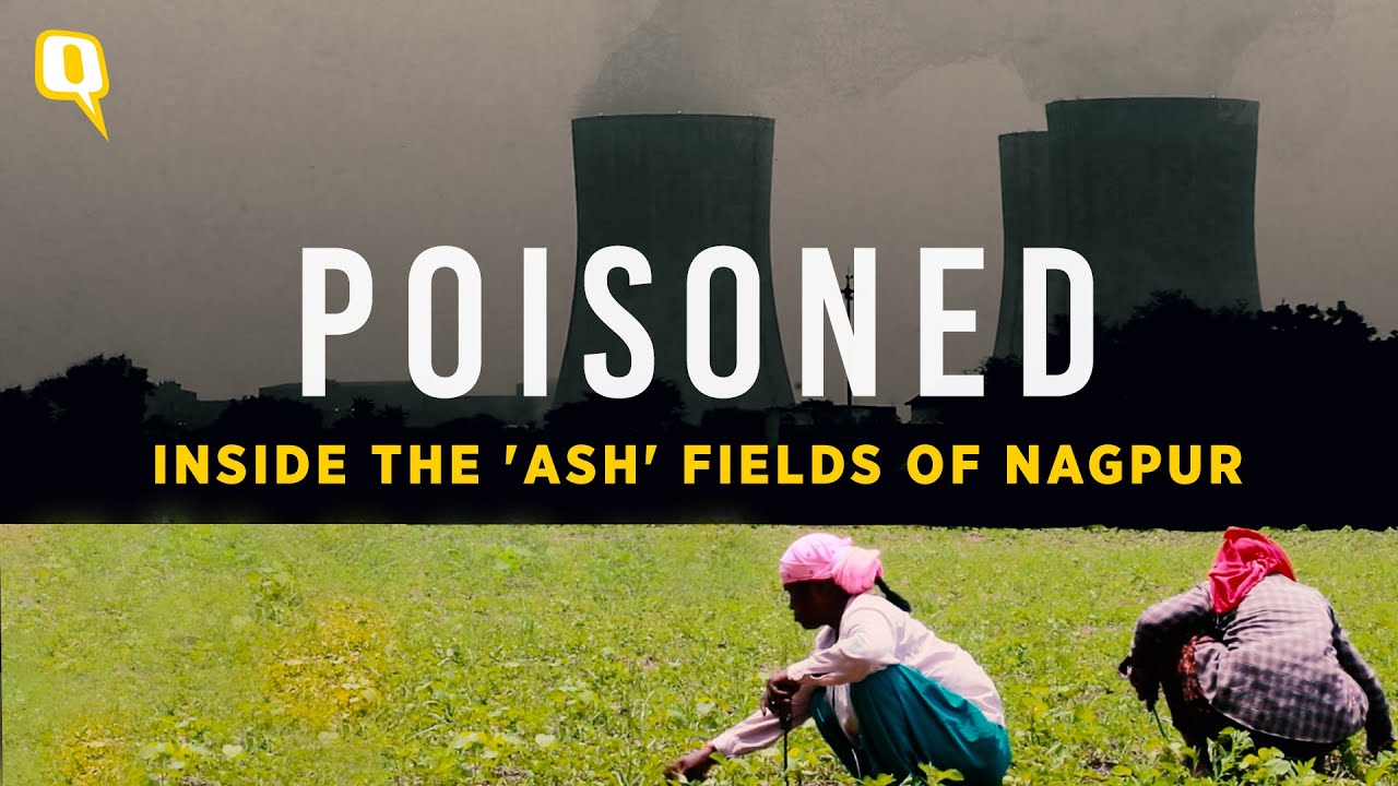 Poisoned: In Nagpur's 'Ash' Fields, Coal Plants Are Burning Crops and Fuelling Debt Cycles — Part 1