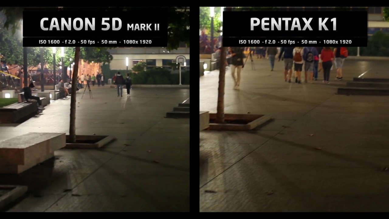 CANON 5D MARK II VS PENTAX K1:  PHOTO 6400 ISO and VIDEO1600 ISO
