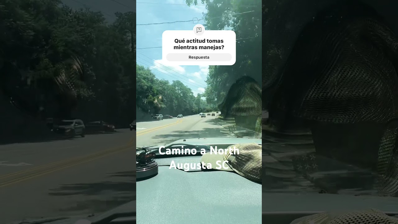 Relax al volante😎🎶