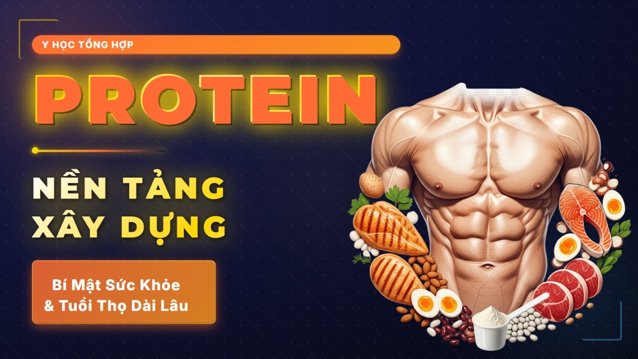 PROTEIN – NỀN TẢNG XÂY DỰNG CƠ THỂ VÀ TUỔI THỌ KHỎE MẠNH