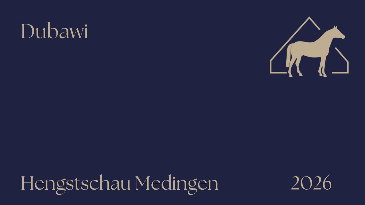 Hengstschau Dubawi 2026