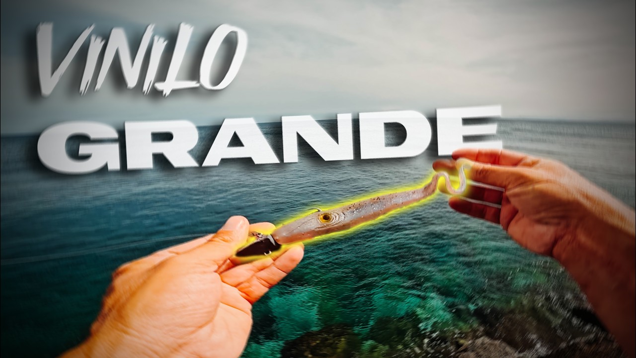 Por UNA VEZ llevaba el Equipo ÓPTIMO [𝙀𝙨𝙥𝙚𝙘𝙞𝙚𝙨 𝙏𝙊𝙋] | Lured Vlog 359