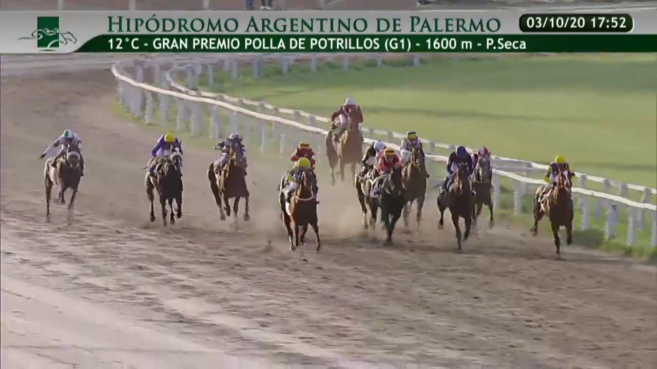 Gran Premio Polla De Potrillos (G1) 3-10-2020