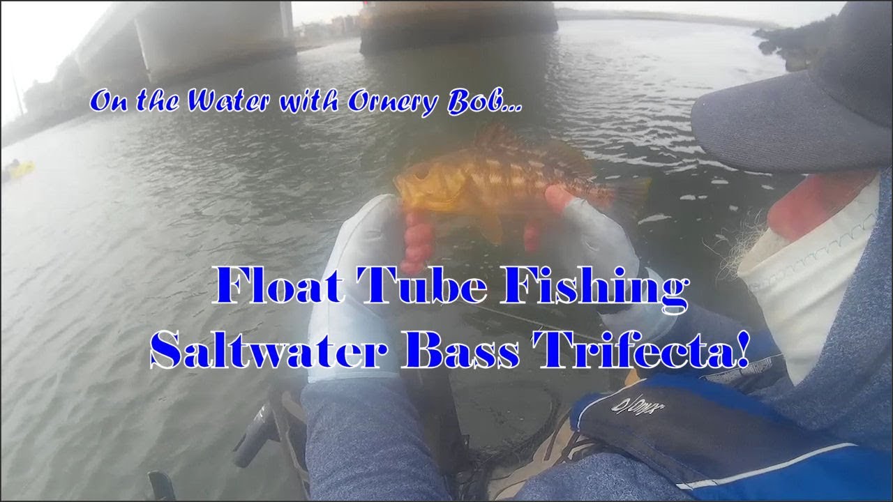 Float Tube Fishing - Saltwater Bass Trifecta!