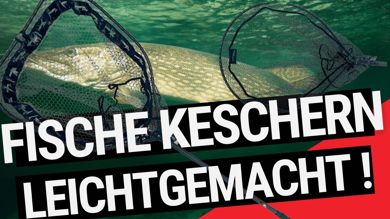 Perfekt leichte Allround-Kescher – Die neuen Mostal Carbon Angler-Klappkescher im Vergleich