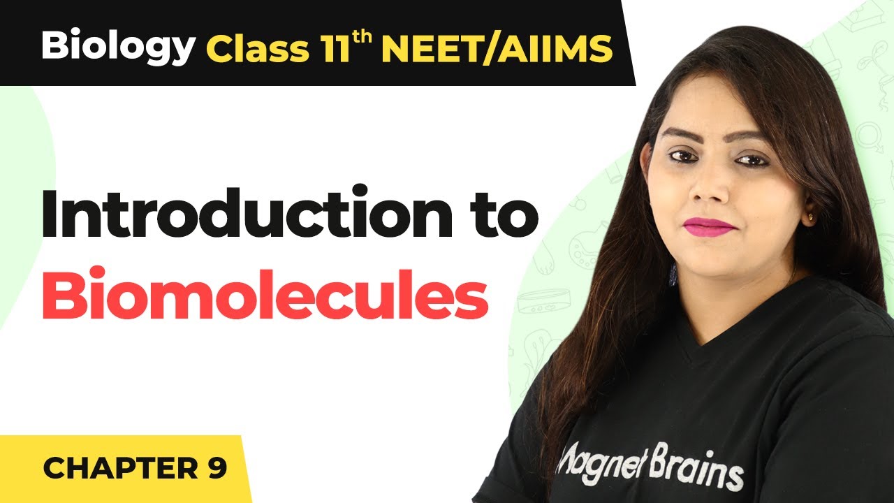 Introduction to Biomolecules | Class 11 Biology