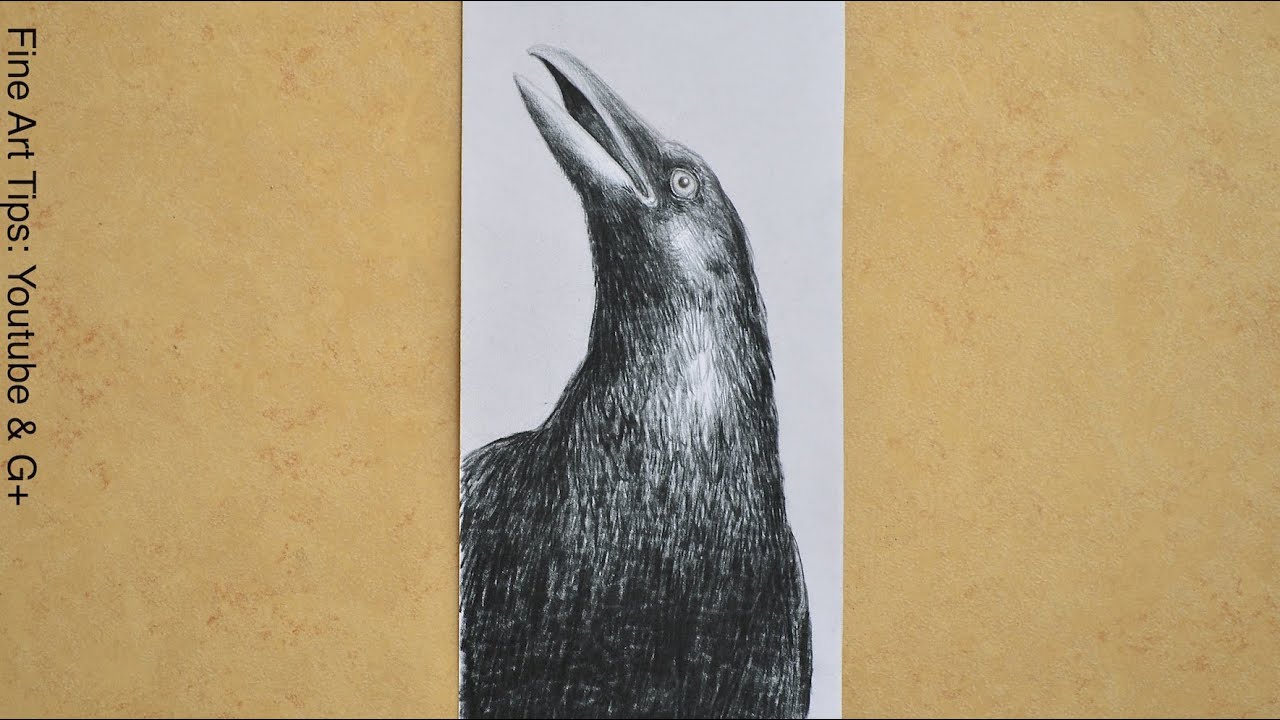 How to Draw a Crow