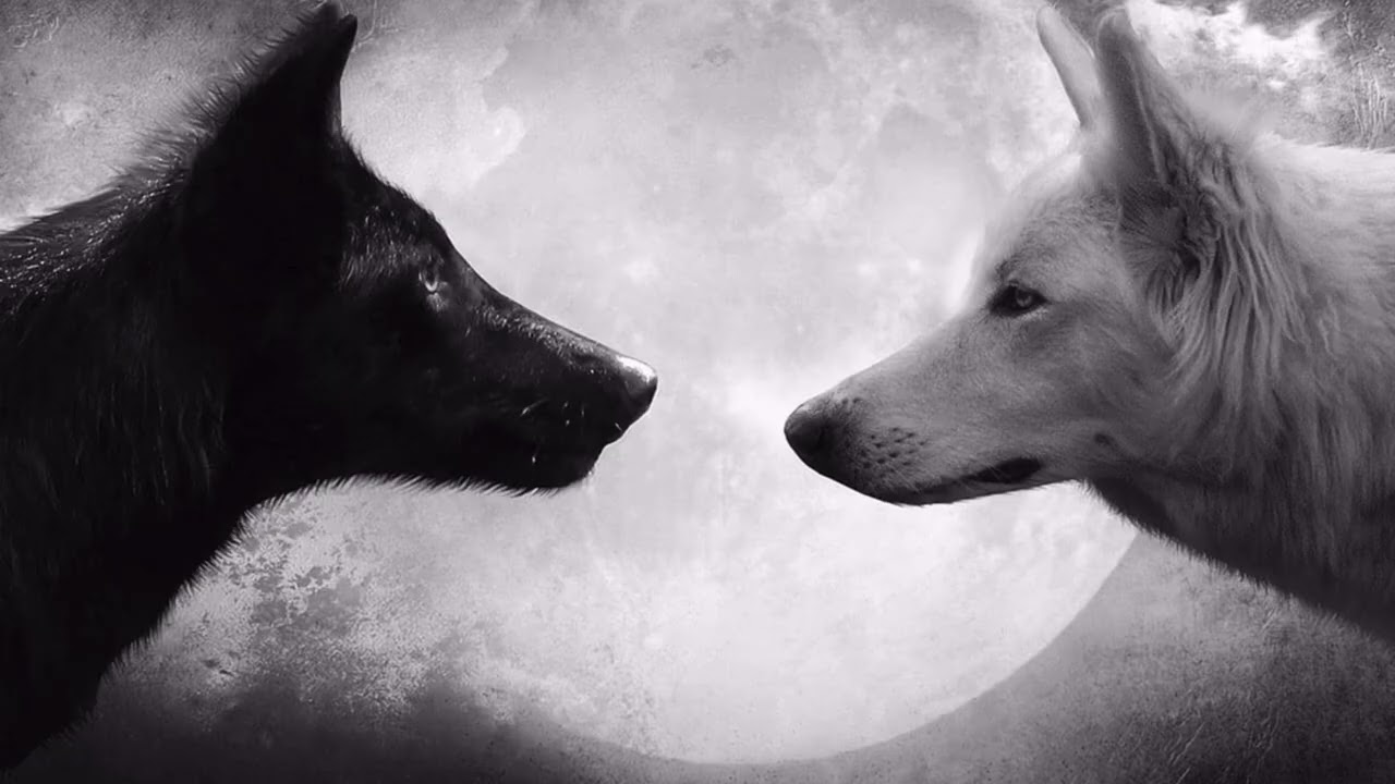 ...White and black, they are at war,good and evil, they are fighting in my heart....Lyrics....