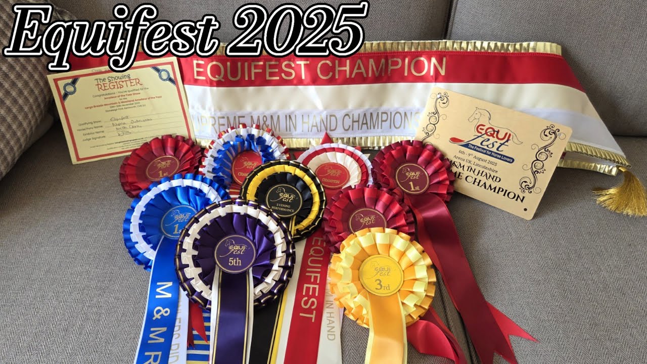 Equifest 2025