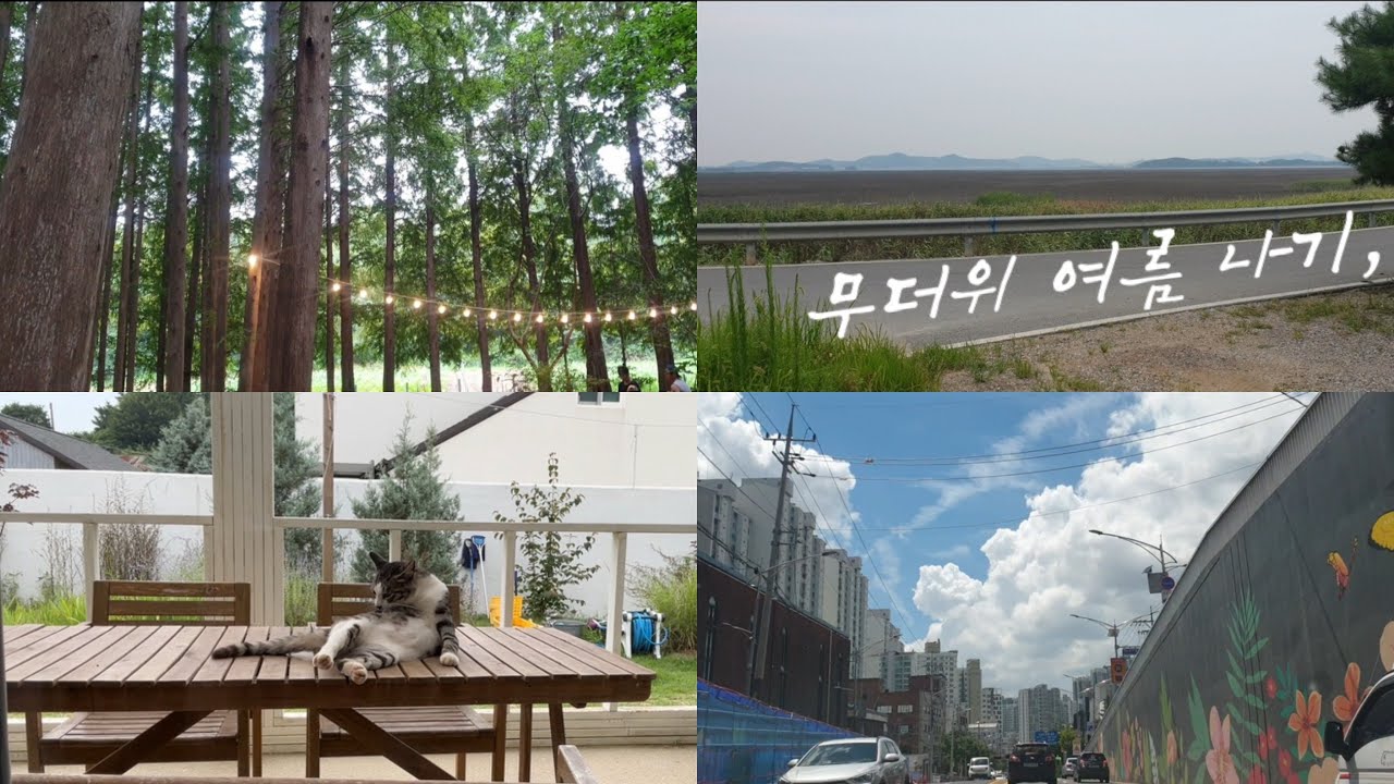 37도 날씨 혼자 운전하고 걷고 체력 올리기..,여름의 기억🌴