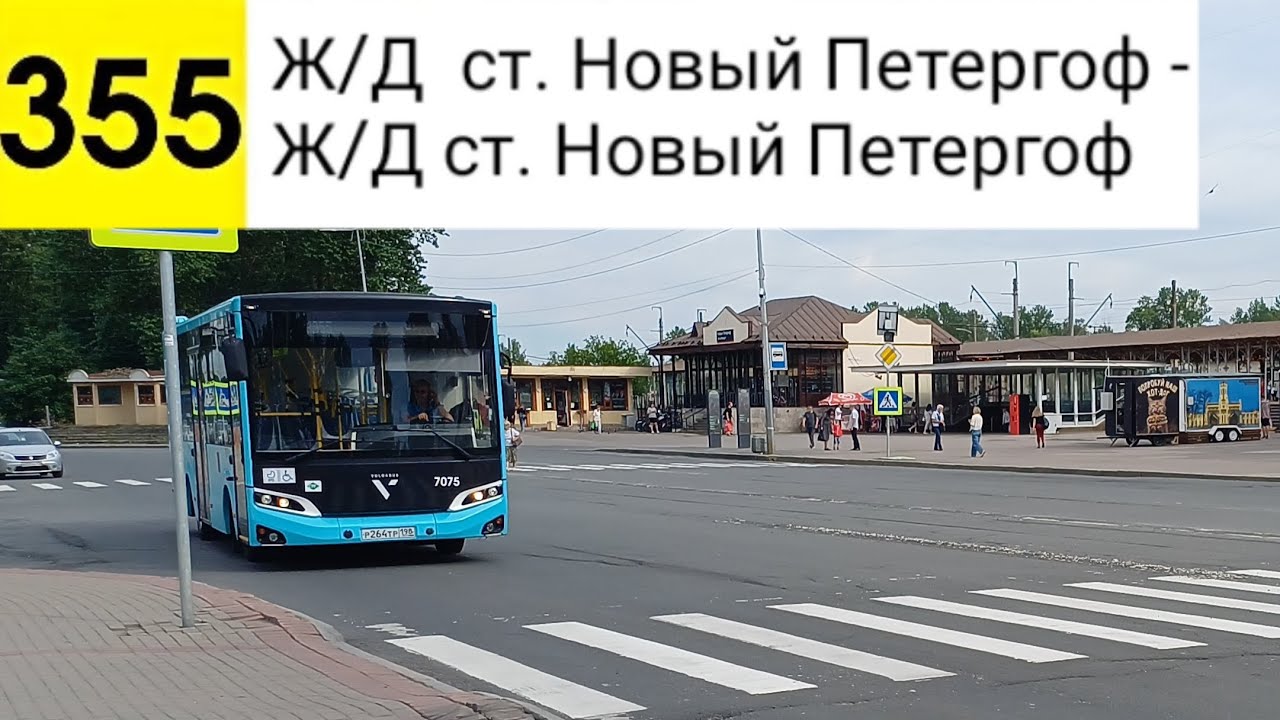 Автобус 355. Ж/Д ст. Новый Петергоф - Ж/Д ст. Новый Петергоф (кольцевой)