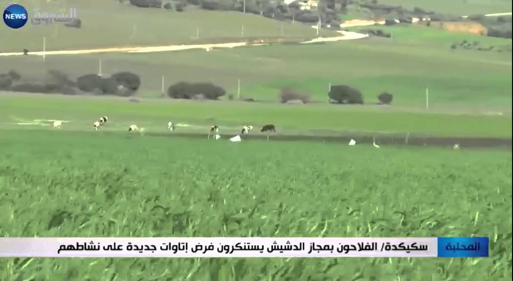 سكيكدة: الفلاحون بمجاز الدشيش يستنكرون فرض إتاوات جديدة على نشاطهم