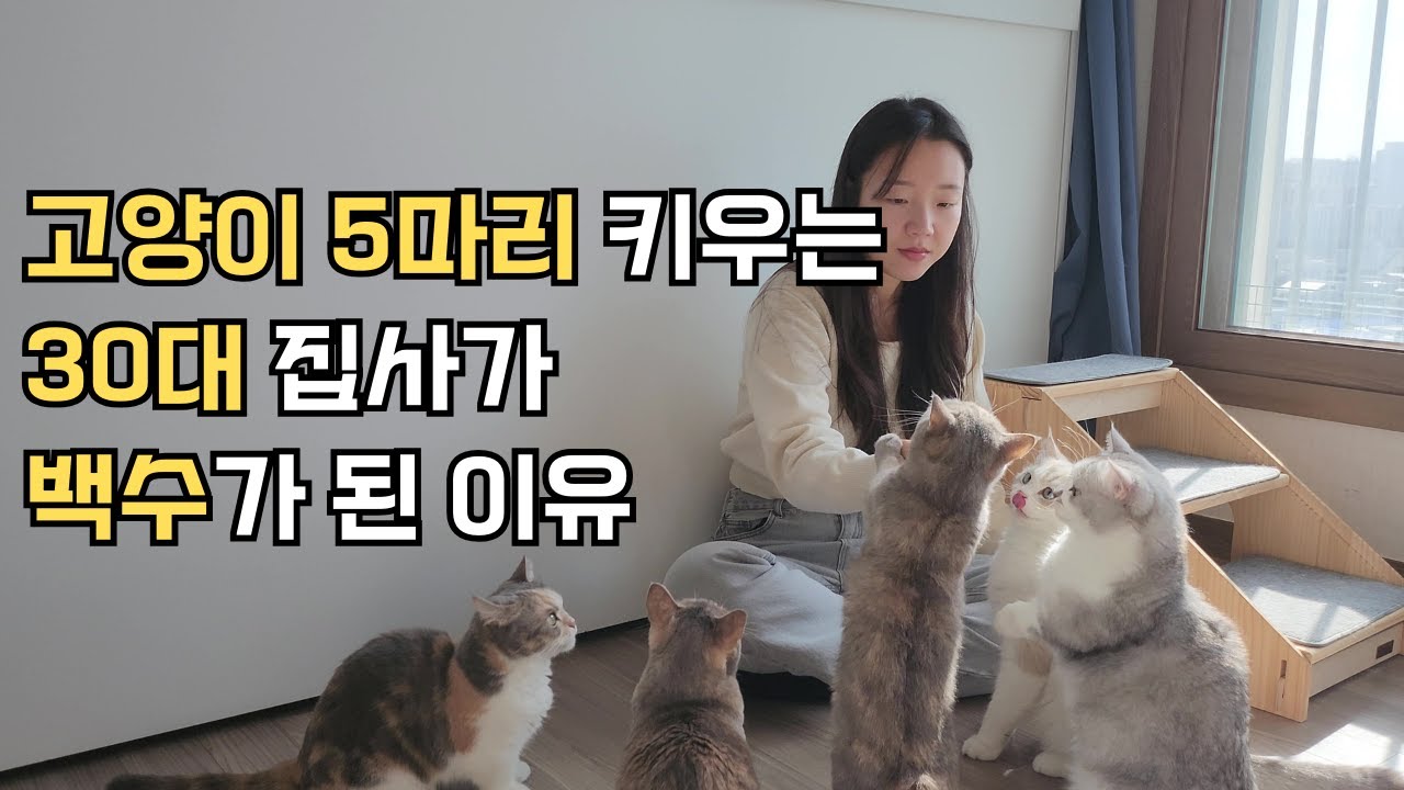 30대, 남들 다 일 할 때 백수가 된다는 것은 | 집사 소개