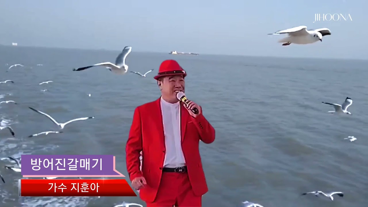 가수지훈아🎵 방어진갈매기/한성미작사 장지훈작곡