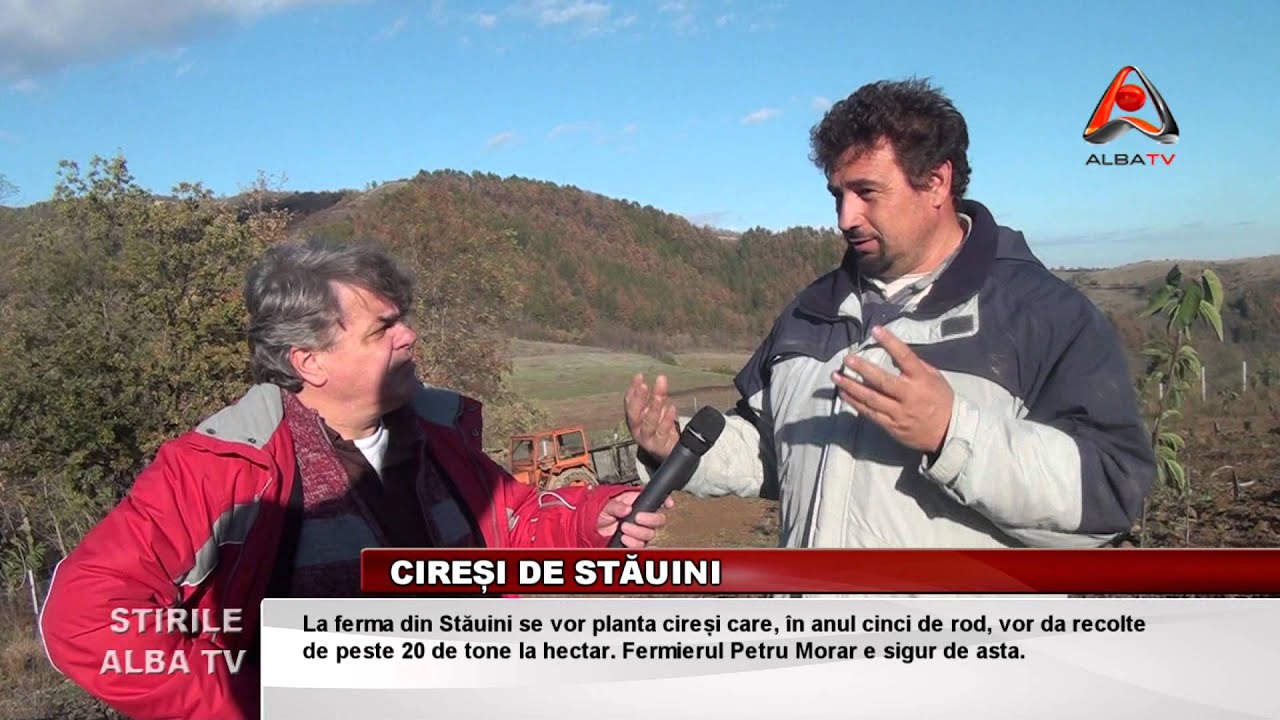 CIRESE DE STAUINI