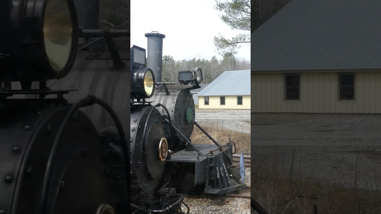 WW&F Railway #9 Passes B&SR #8