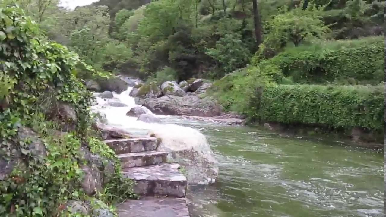 JOYANCO - Rio Pelayo - Guisando mayo 2016
