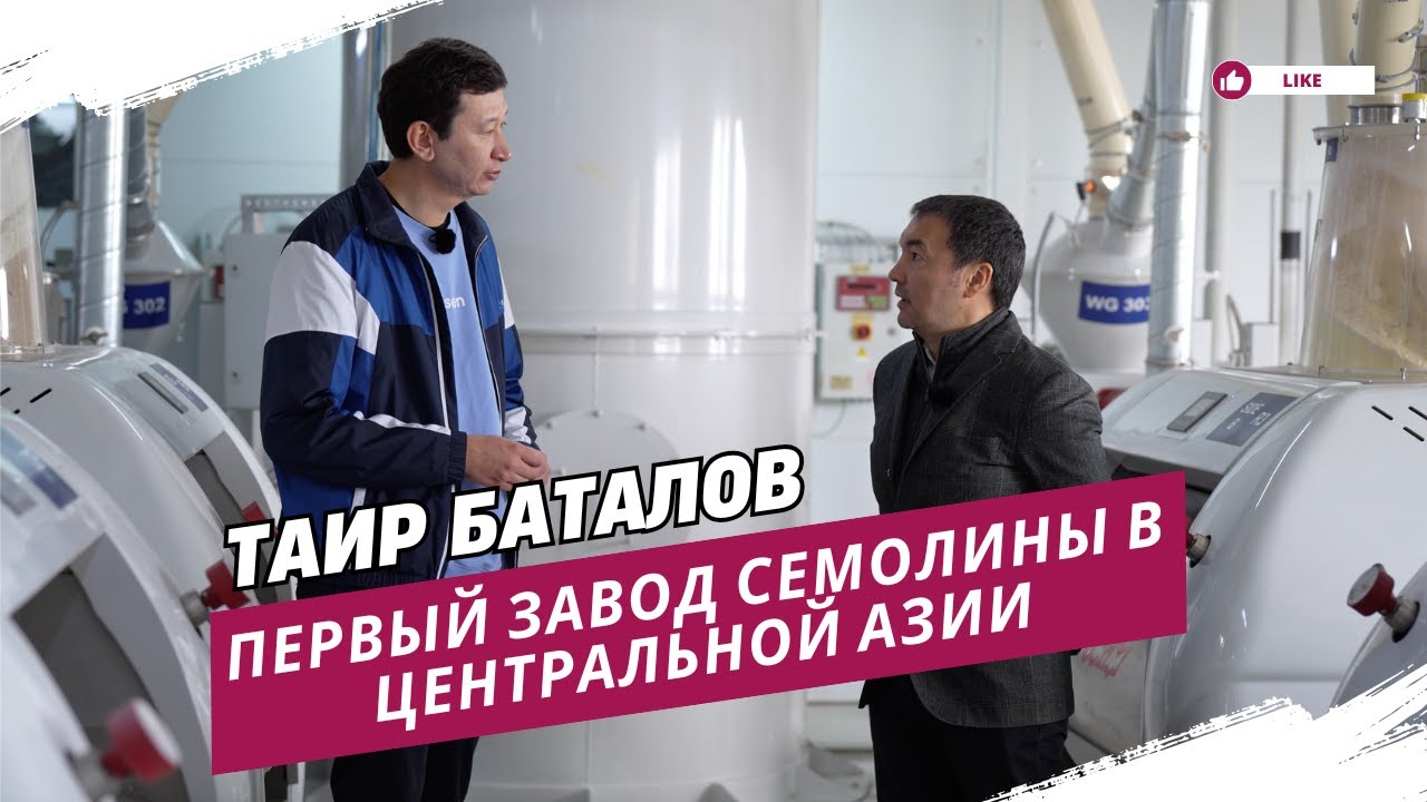 Как Казахстан покоряет мировой рынок зерна: история TBF Holding и Таира Баталова