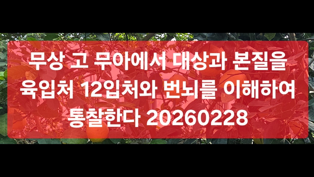 무상 고 무아에서 대상과 본질을 육입처 12입처와 번뇌를 이해하여 통찰한다 20260228