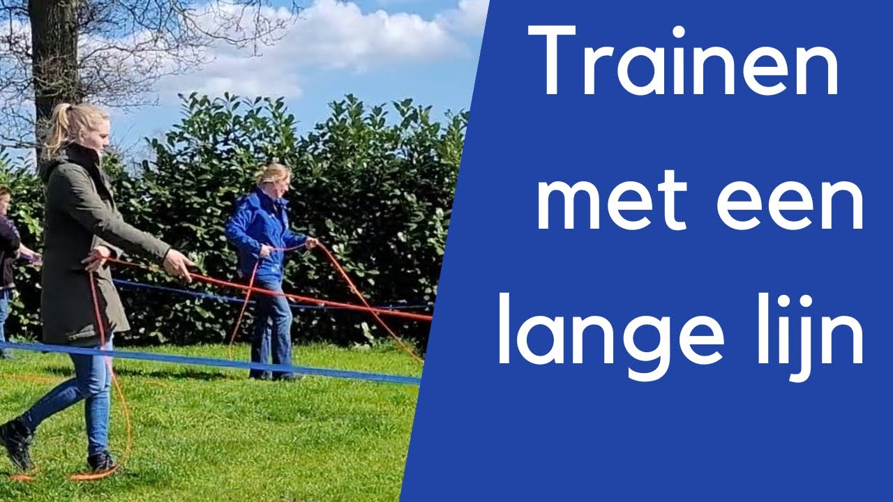 Trainen met een lange lijn. Oefening in de video. #speurtraining