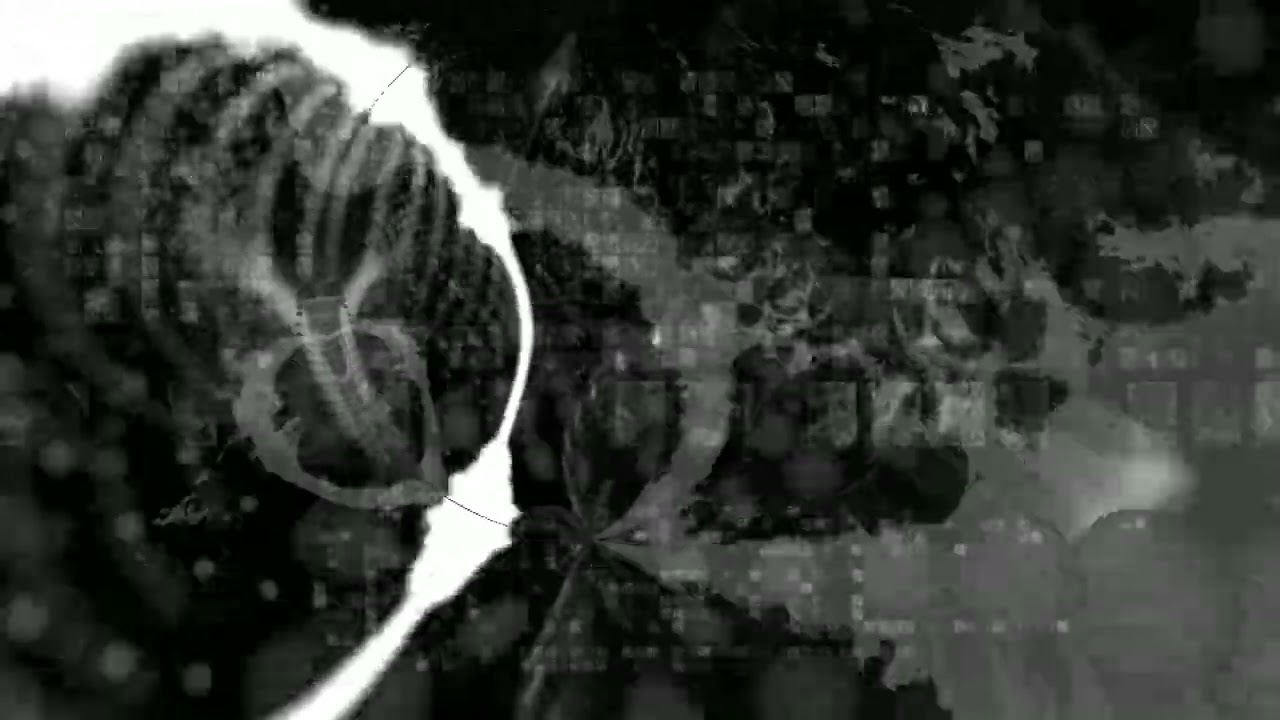 Nvv - VIRTUDE (VISUALIZER)
