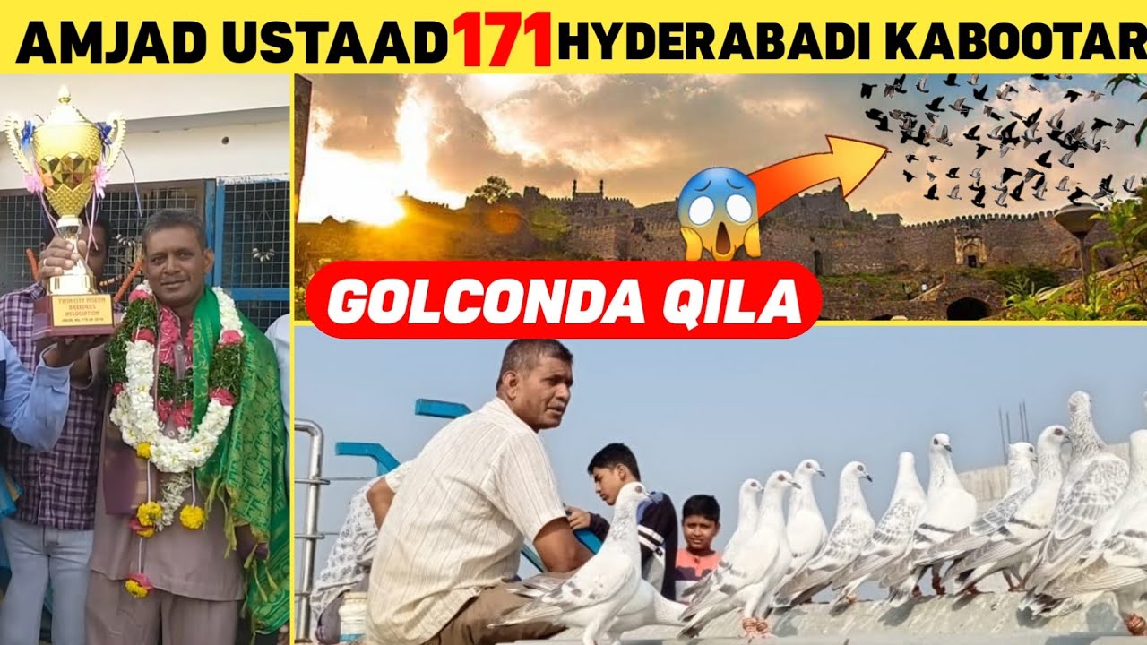Hyderabad se Amjad Ustaad k 171 Hyderabadi Jungly kabootar ka shok | Racing Pigeons