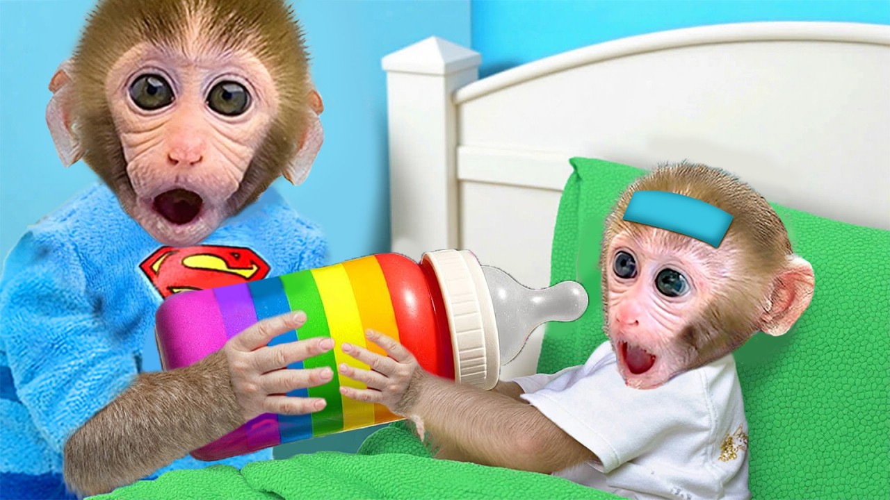 꼬마 원숭이 GoGo가 아픈 아기 원숭이를 돌봐주고 무지개 우유를 먹여주었어요 - Gogo Monkey Aventure