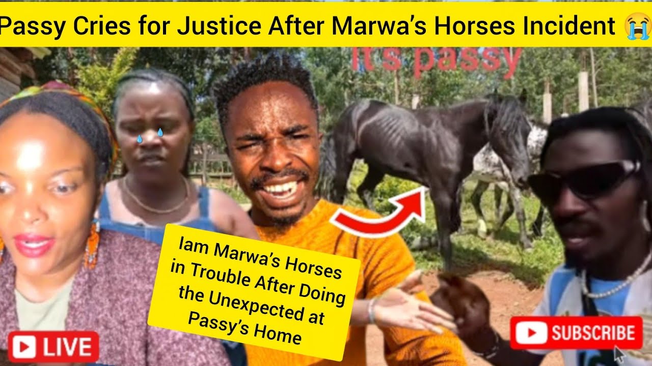 #unexpected Horse Incident Turns Messy 😳 Passy vs@iammarwa 