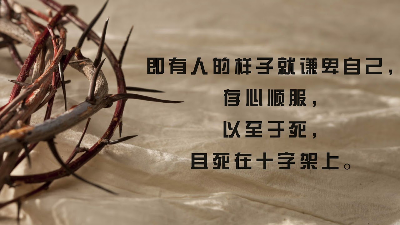 空中诗班献唱 -- 