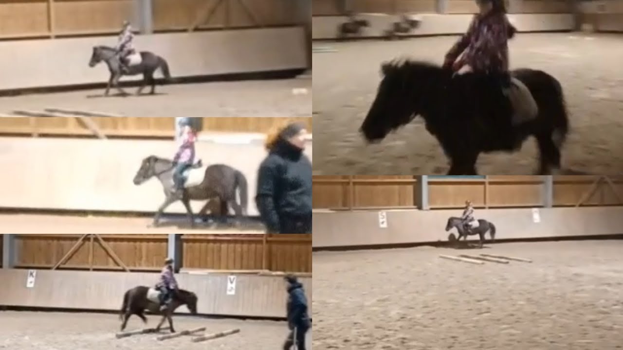 Vlog de 23/01/26 avec iocky 