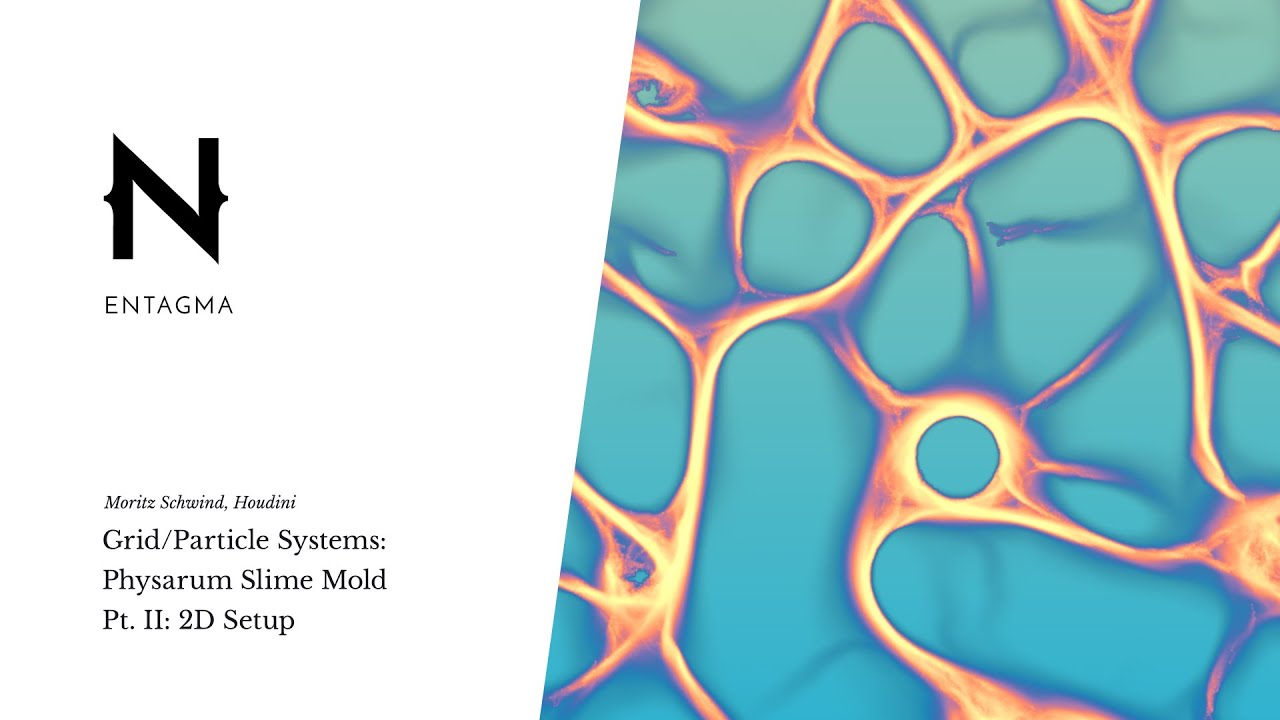 Grid Particle Systems - Physarum Slime Mold Pt II: 2D Setup